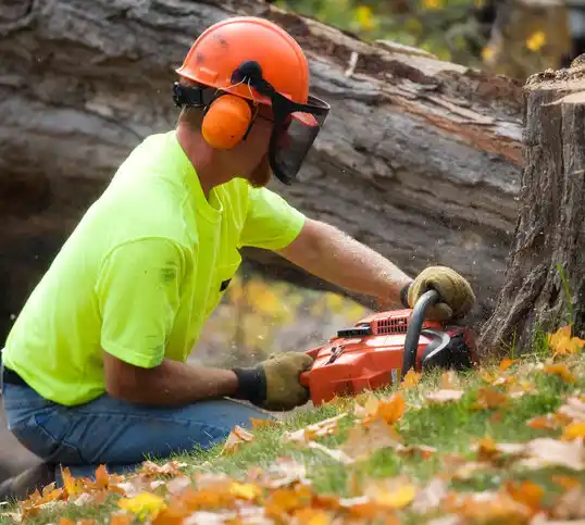 tree services Gideon